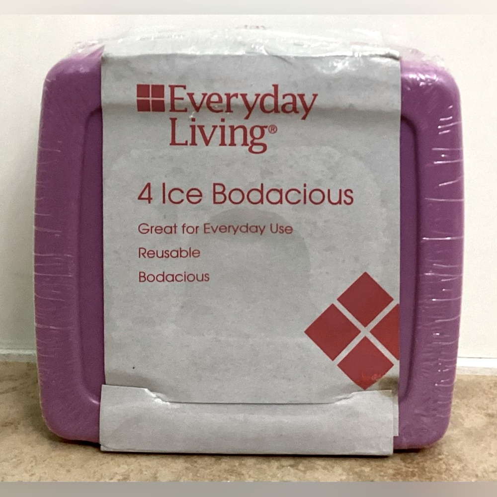 Everyday Living Ice Packs (Set Of 4)